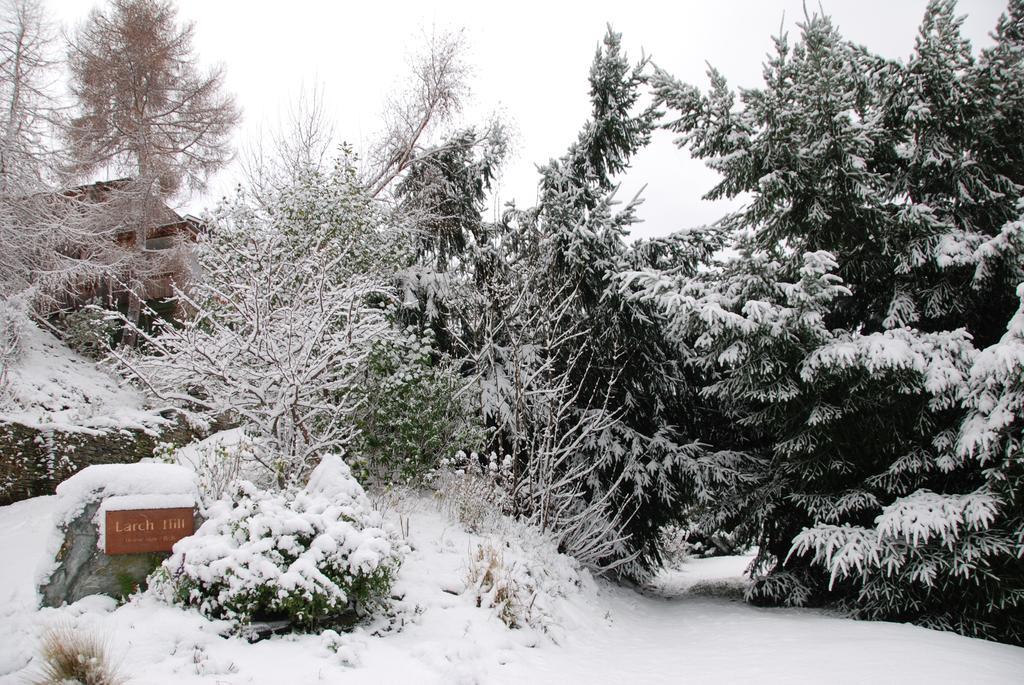 Larch Hill Bed & Breakfast Queenstown Luaran gambar