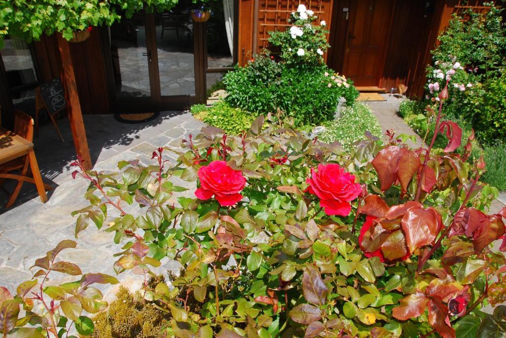 Larch Hill Bed & Breakfast Queenstown Luaran gambar